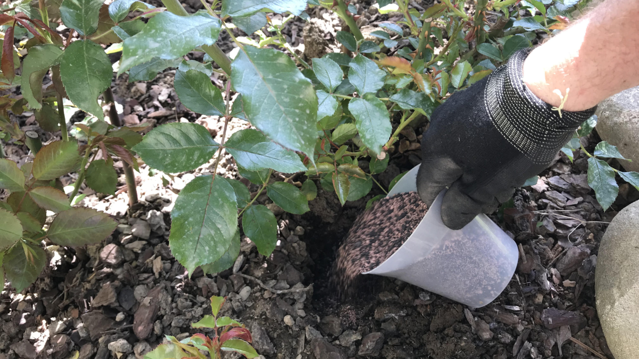 Concimazione - Il Dottore Delle Piante - Esperto Agronomo